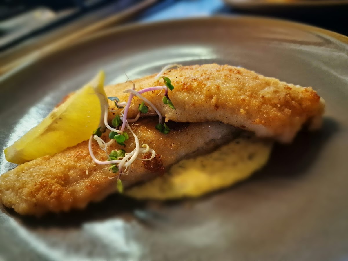 Cafe-Restaurant Dolphia V.o.f.-2